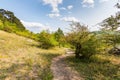 Path near the fields and meadow, agricultue, trees and bushes. Summer weather and blue sky Royalty Free Stock Photo