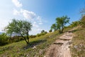 Path near the fields and meadow, agricultue, trees and bushes. Summer weather and blue sky Royalty Free Stock Photo