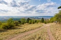 Path near the fields and meadow, agricultue, trees and bushes. Summer weather and blue sky Royalty Free Stock Photo