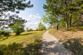 Path near the fields and meadow, agricultue, trees and bushes. Summer weather and blue sky Royalty Free Stock Photo