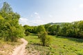 Path near the fields and meadow, agricultue, trees and bushes. Summer weather and blue sky Royalty Free Stock Photo