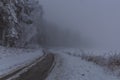 Path near forest in snowy frosty day near Loucovice village with fog Royalty Free Stock Photo