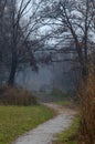 A path near a lake Royalty Free Stock Photo