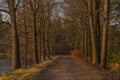 Path near Rouda and Olesnicky novy pond in sunset time in winter evening Royalty Free Stock Photo