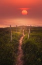 path near the sea with sun at red sunset Royalty Free Stock Photo