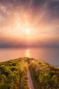 Path near the sea at sunset Royalty Free Stock Photo