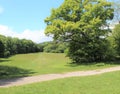 A path next to a meadow