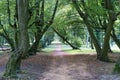Path in nice old park. Royalty Free Stock Photo