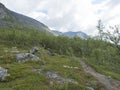 Path in northern landscape artic landscape, tundra in Swedish Lapland with green hills and mountains and birch forest at