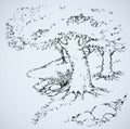 Path among oak groves. Vector drawing