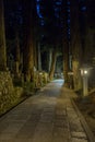 A path through the Okunoin at night in ancient Buddhist cemetery Royalty Free Stock Photo