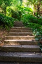 path in the old park Royalty Free Stock Photo