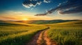 Open field of opportunities path Royalty Free Stock Photo