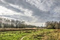 Path through an open woodland Royalty Free Stock Photo
