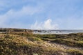 Path out to beach through the succulents on the cliffs with footprints and ocean in background with a few people walking down on Royalty Free Stock Photo