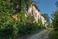 Path Through Overgrown Ancient Buildings in Collecchio, Parma - Italy Royalty Free Stock Photo