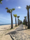 Path with palm trees on a beach in southern Bali Royalty Free Stock Photo