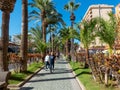 Path with palm trees with tourists on an island- Tenerife