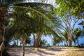 Path with palms in jungle forest. Thailand Koh Royalty Free Stock Photo