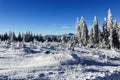 The path on the Pancir, winter landscape, Zelezna Ruda, Czech Republic