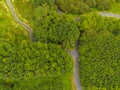 Path in a park, Aerial top view, Green trees and empty road Royalty Free Stock Photo