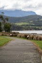 path in a park in australia over looking a river