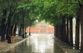 Path in park of Beijing after rain Royalty Free Stock Photo