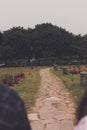 path in the park - couple\'s point of view - walking in the rose garden Royalty Free Stock Photo