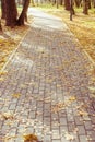 The path in the park, in the fallen leaves, and sun shadows Royalty Free Stock Photo