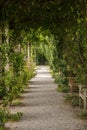 Path through the park Royalty Free Stock Photo