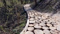 The path in the park is paved with sawn wooden decks. An example of landscape design for a place of recreation for people. Rest