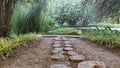 The path in the park is paved with tree stumps. Royalty Free Stock Photo