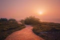 Path on park at sunset near sea Royalty Free Stock Photo