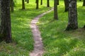 A path in the Park among the trees, a narrow path in the summer forest Royalty Free Stock Photo