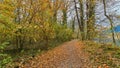 Path that passes through the forest, in autumn Royalty Free Stock Photo