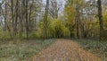 Path that passes through the forest, in autumn Royalty Free Stock Photo