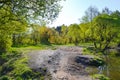 The path passes in the forest near the lake. Early morning. Spring. Russia Royalty Free Stock Photo