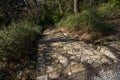 A path paved with stone in the park