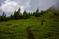 Path between the peaks of the Lagorai four