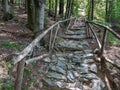 Path with Pebbles, Stones and Wooden Handrail in the Woods Royalty Free Stock Photo