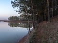 The path between pines at pond`s coast in the morning. The smooth water surface in the pond at sunrise Royalty Free Stock Photo