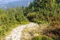 Path in Polish Beskid Mountains, hiking trail, forest landscape Royalty Free Stock Photo