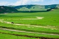 The path on the prairie Royalty Free Stock Photo