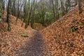 Path in Prokopske udoli valley in Prague, Czech Republ