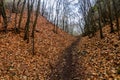 Path in Prokopske udoli valley in Prague, Czech Republ