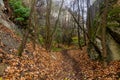 Path in Prokopske udoli valley in Prague, Czech Republ