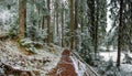 Path with railing in forest along the mountain lake shore Royalty Free Stock Photo