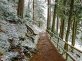 Path with railing in forest along the mountain lake shore Royalty Free Stock Photo