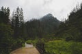 Path in the rain in the valley of Koscieliska, Tatra Mountains, Poland Royalty Free Stock Photo