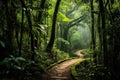 Path in the rainforest of Doi Inthanon National Park, Chiang Mai, Thailand, AI Generated